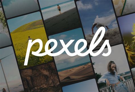 pexel videos|Videos Videos, Download The BEST Free 4k Stock Video。